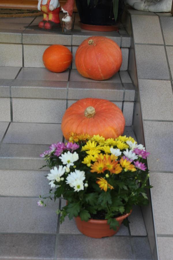 Fewo Strauss Ossiach Esterno foto